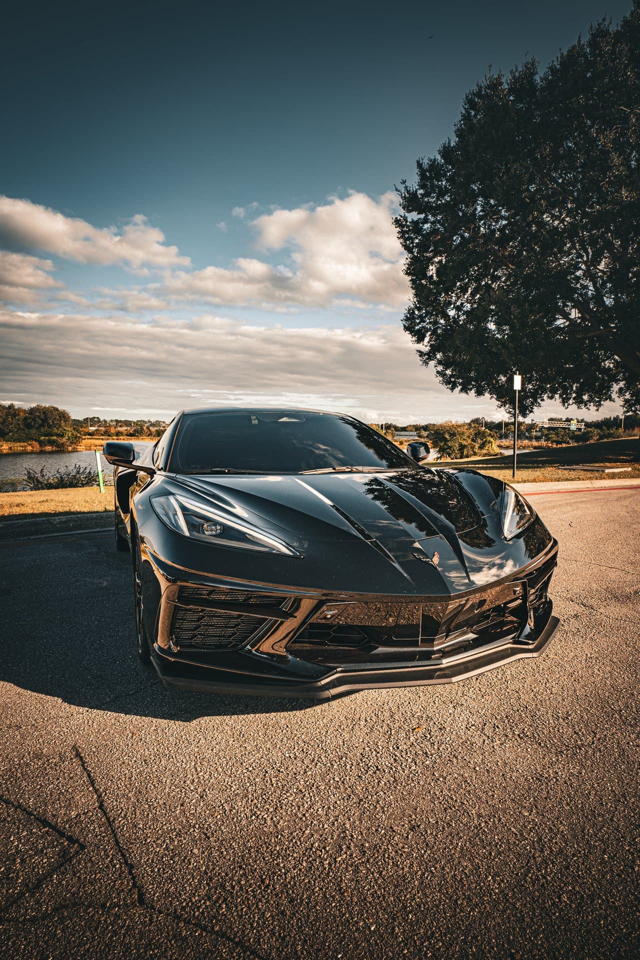 Chevrolet Corvette C8 view 8