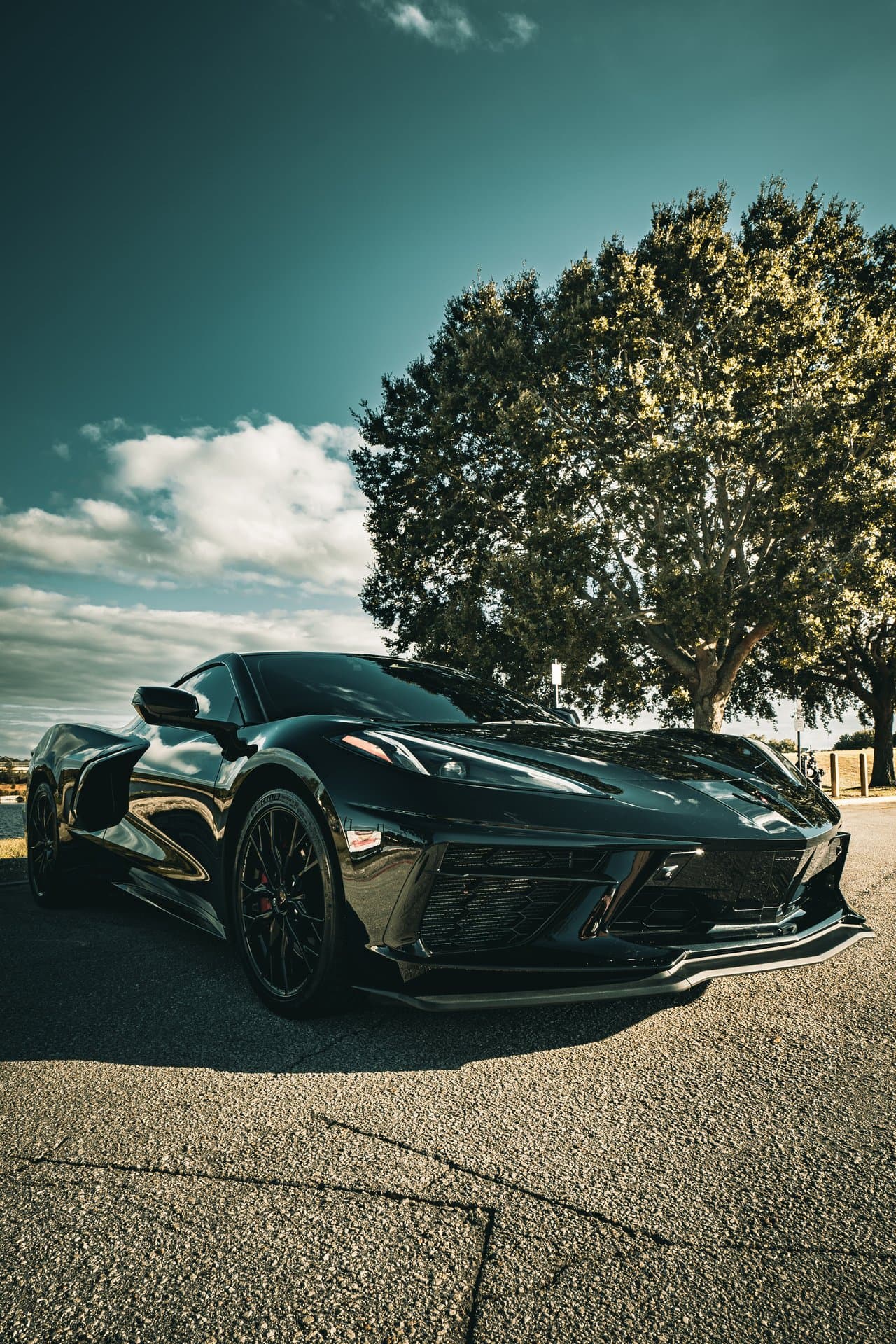 Chevrolet Corvette C8 view 9