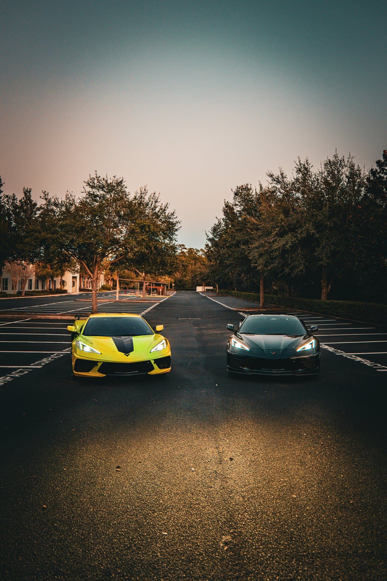 Chevrolet Corvette C8 view 10