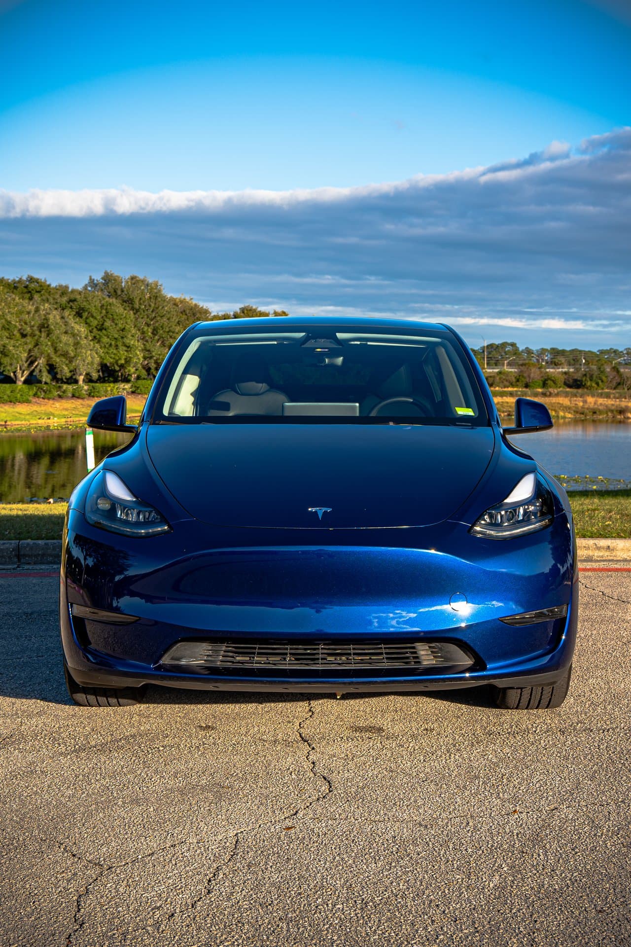 Tesla Model Y view 1